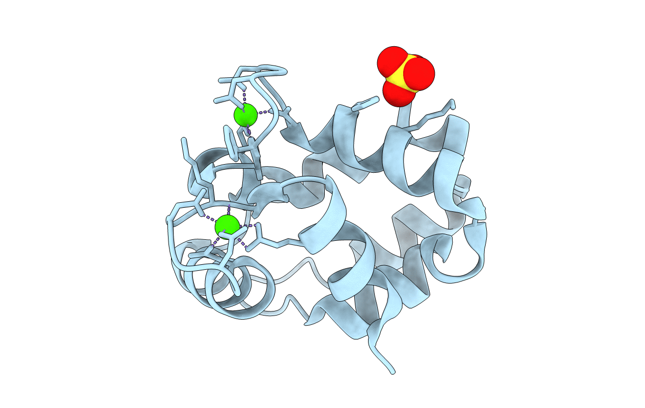 1S3P image