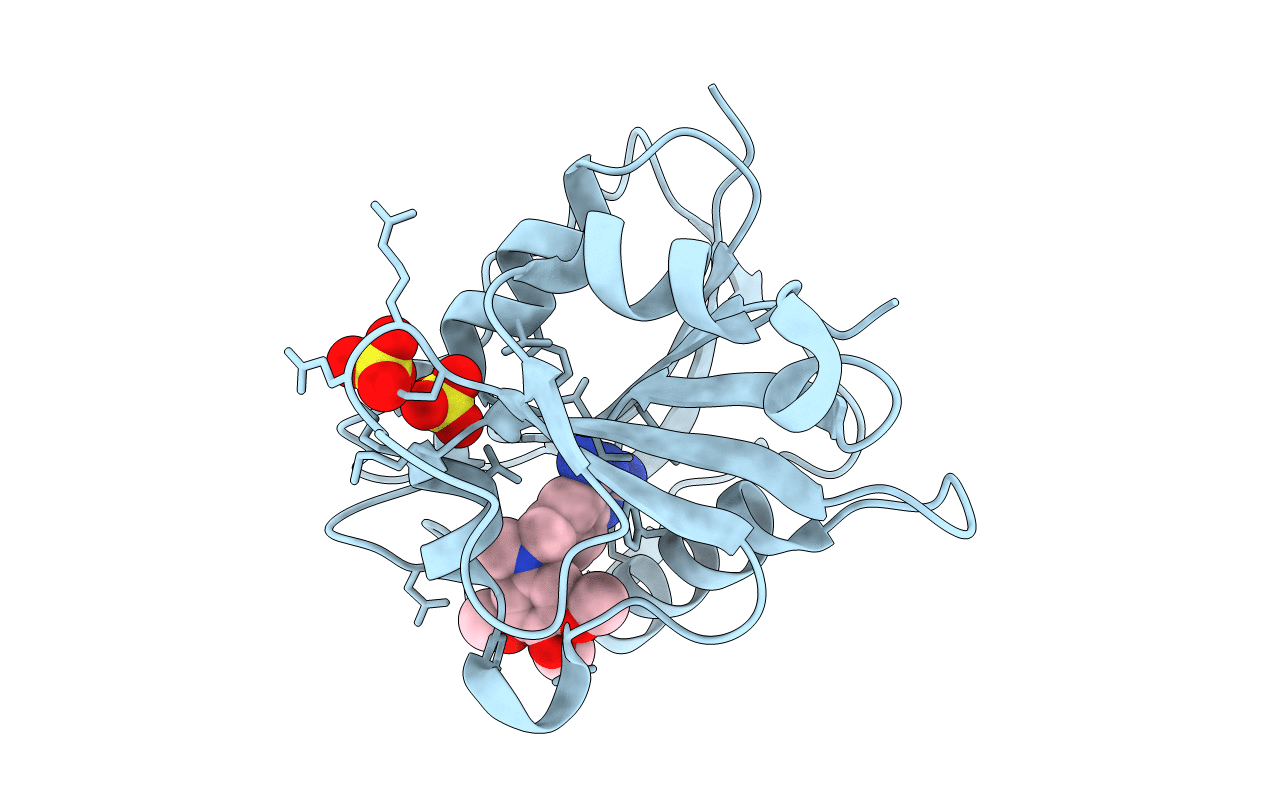 1S3V image