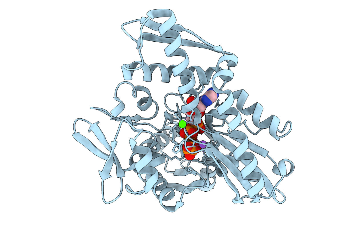 1S3X image