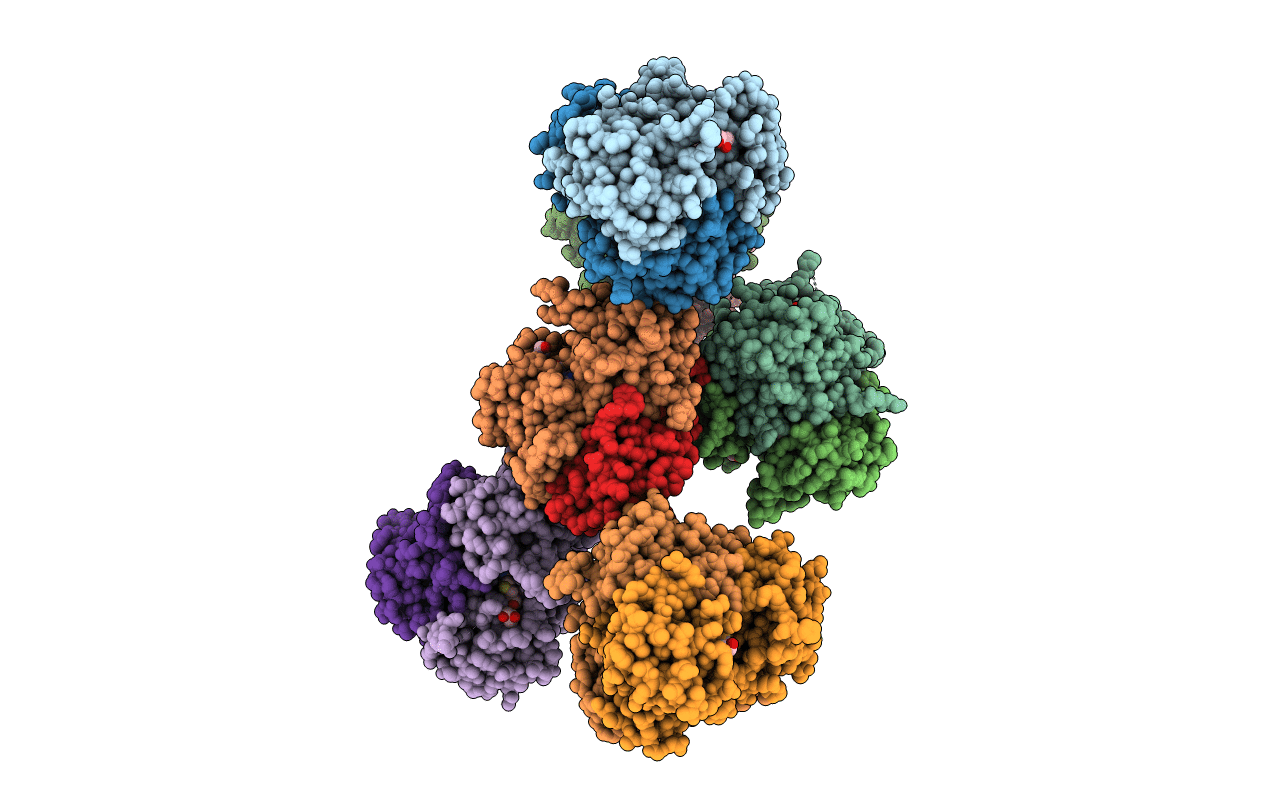 1S4D image