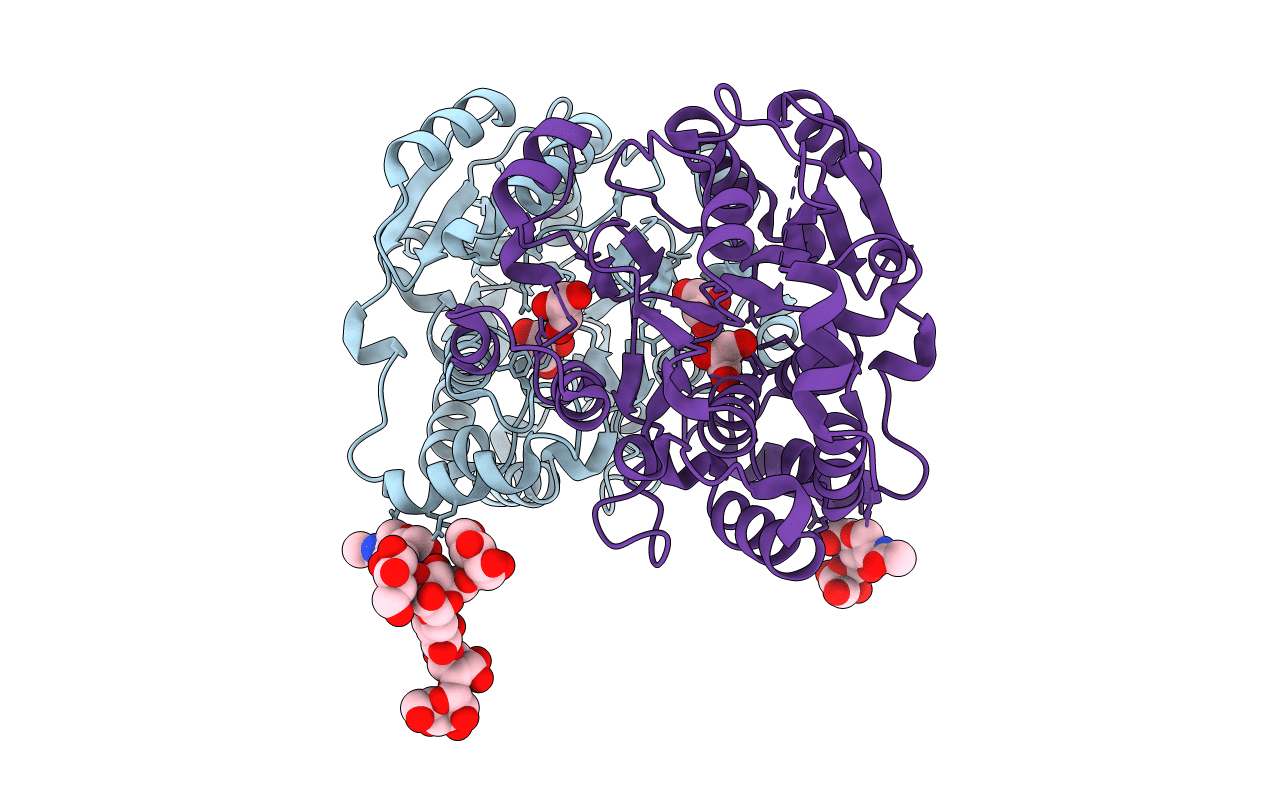 1S4N image