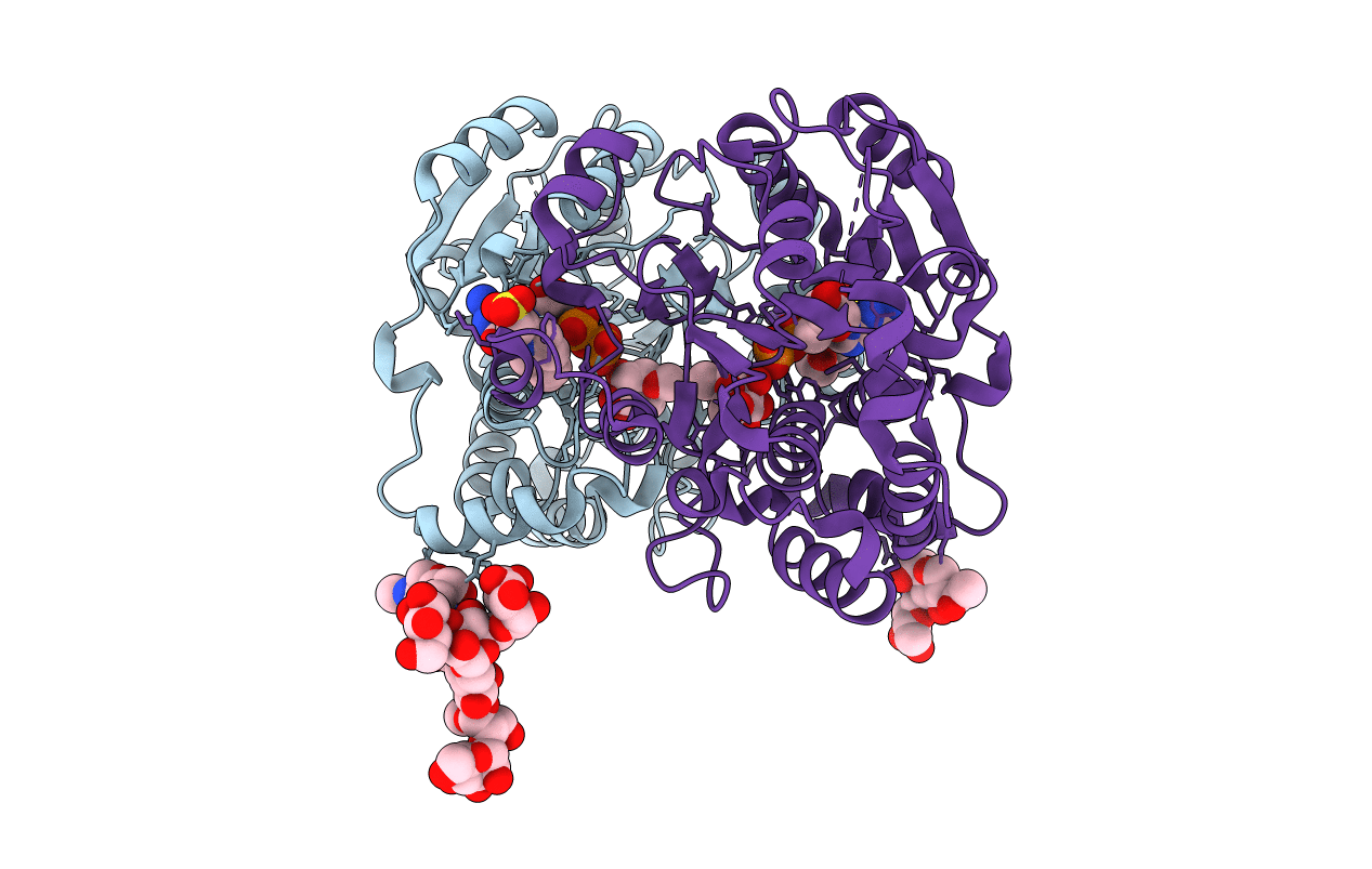 1S4P image