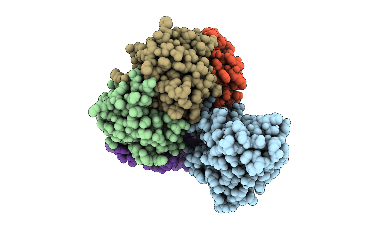 1S5B image