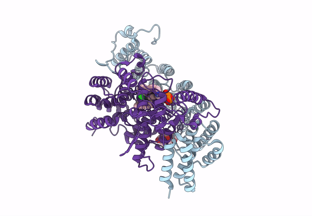 1S63 image