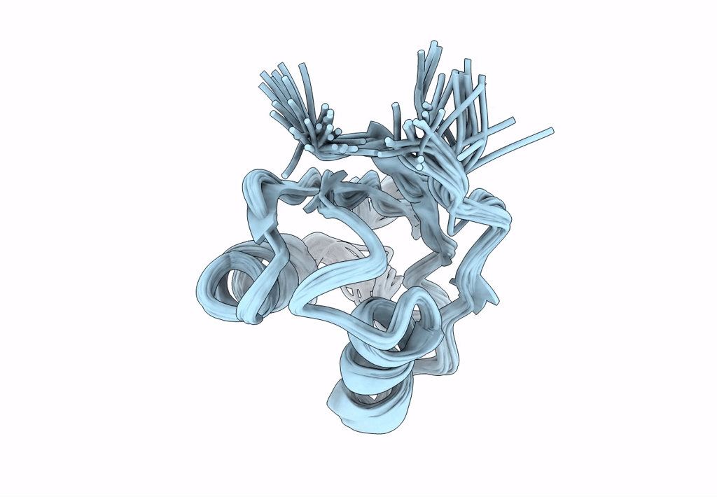 1S6O image
