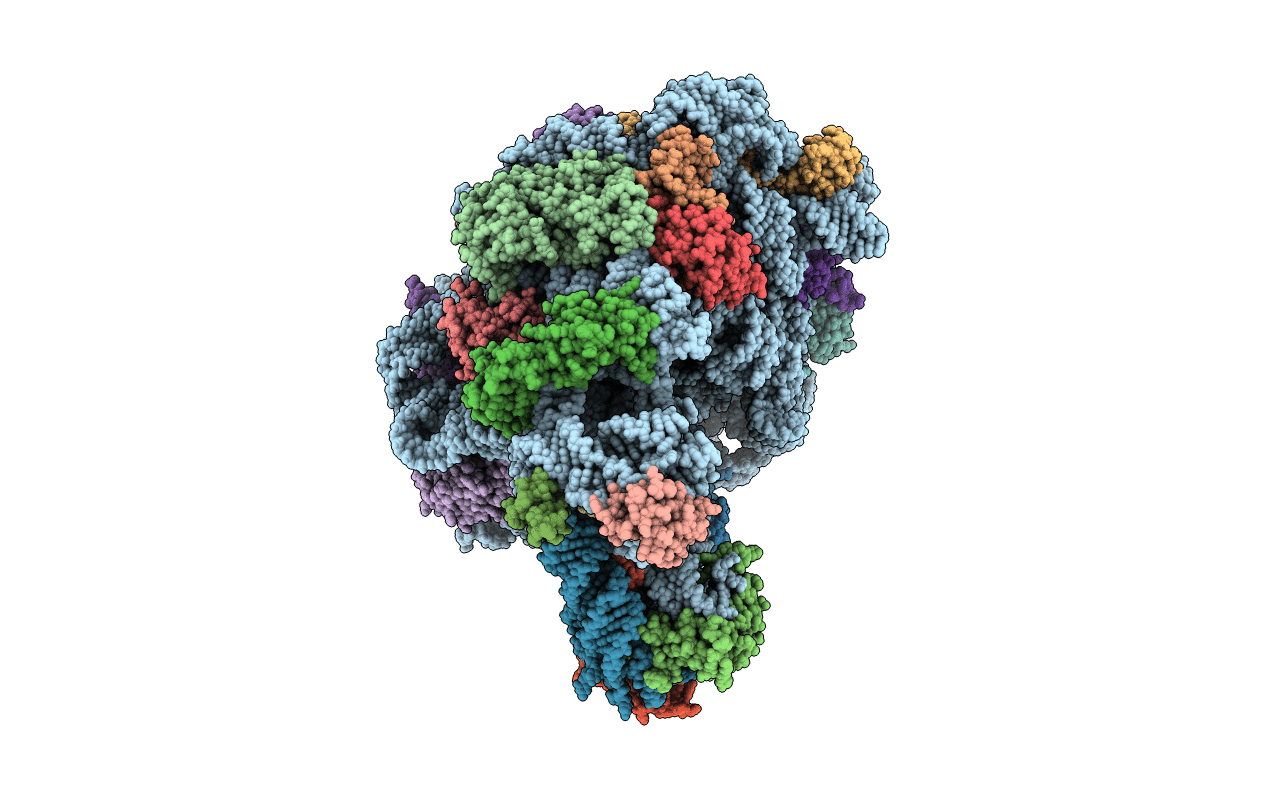 1S72 image