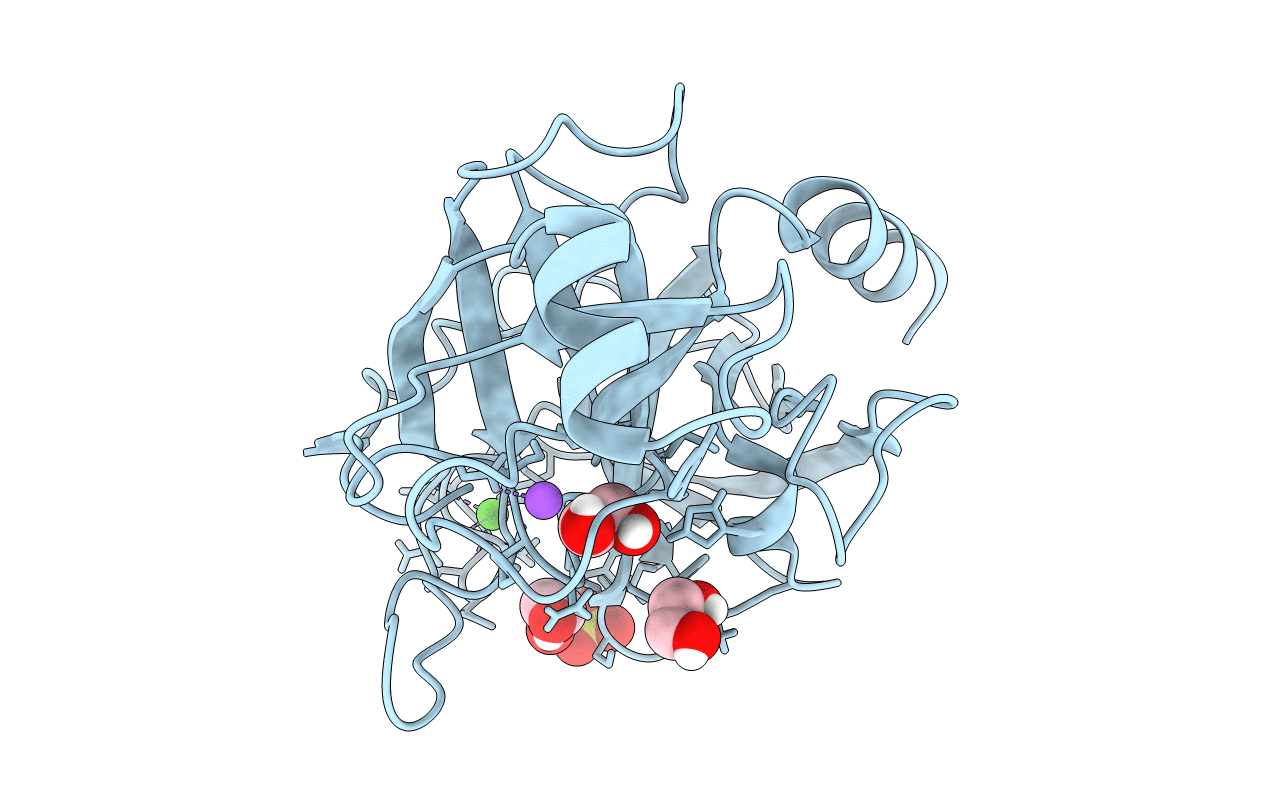 1S81 image