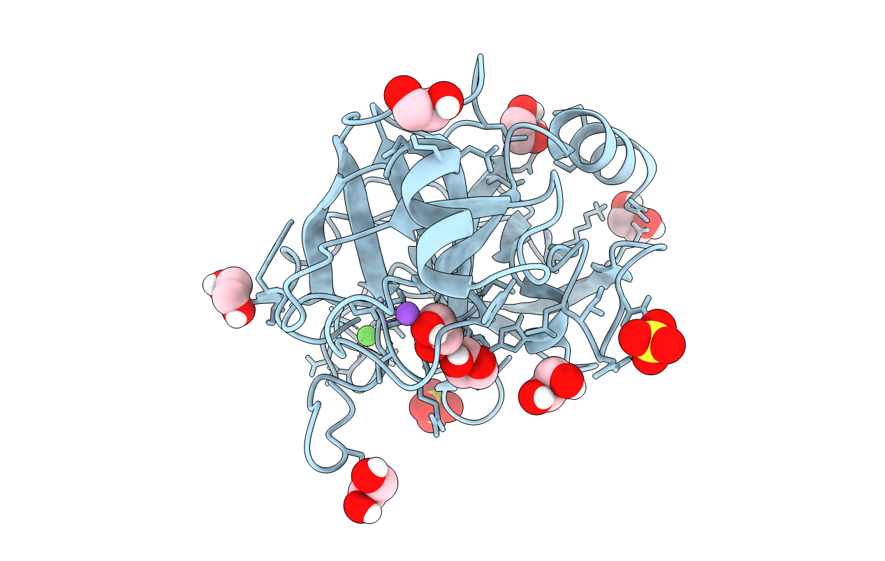 1S82 image