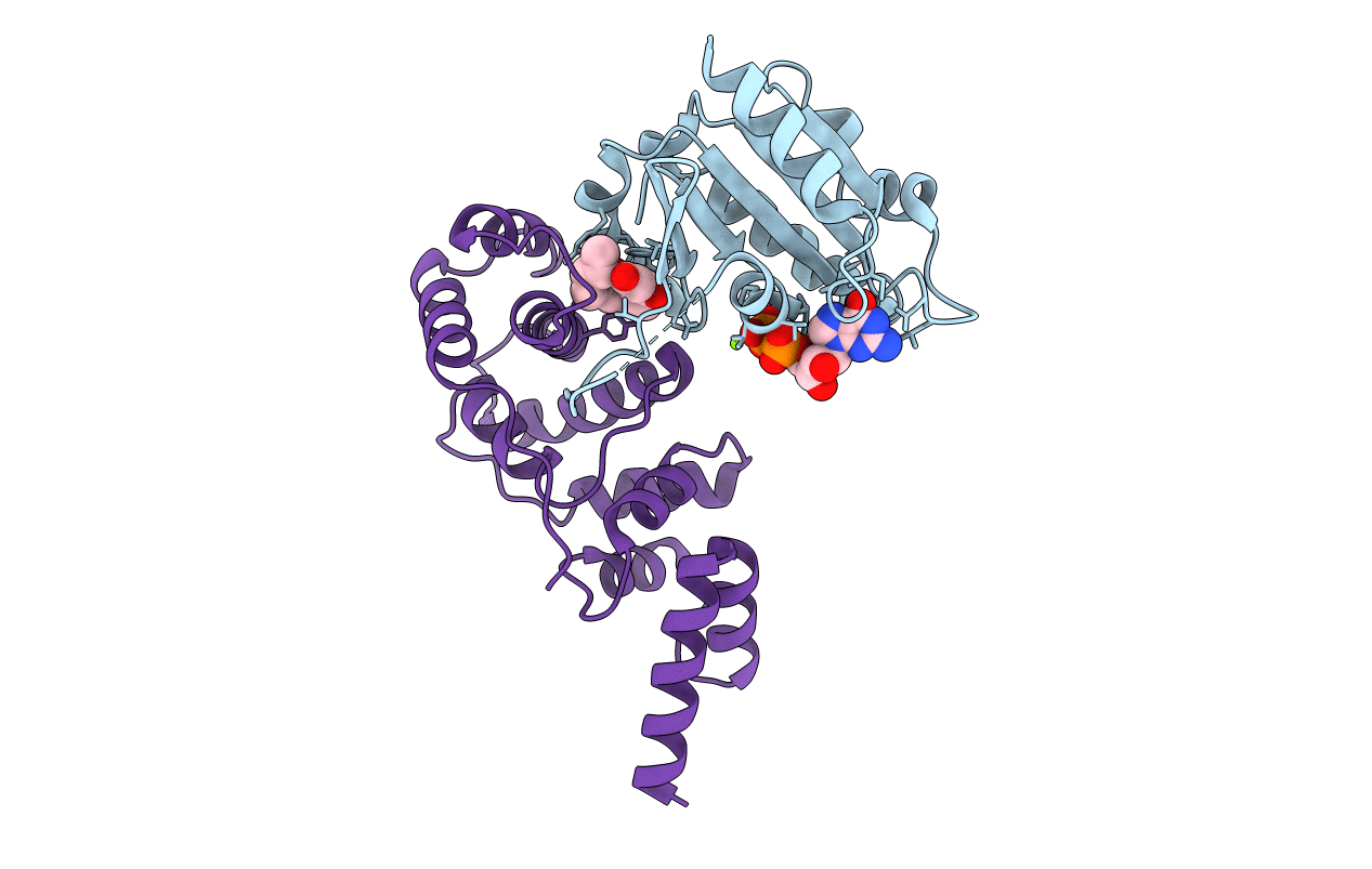 1S9D image