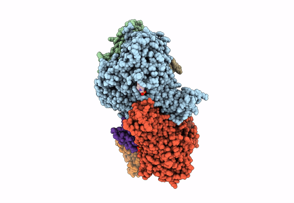 1SB3 image