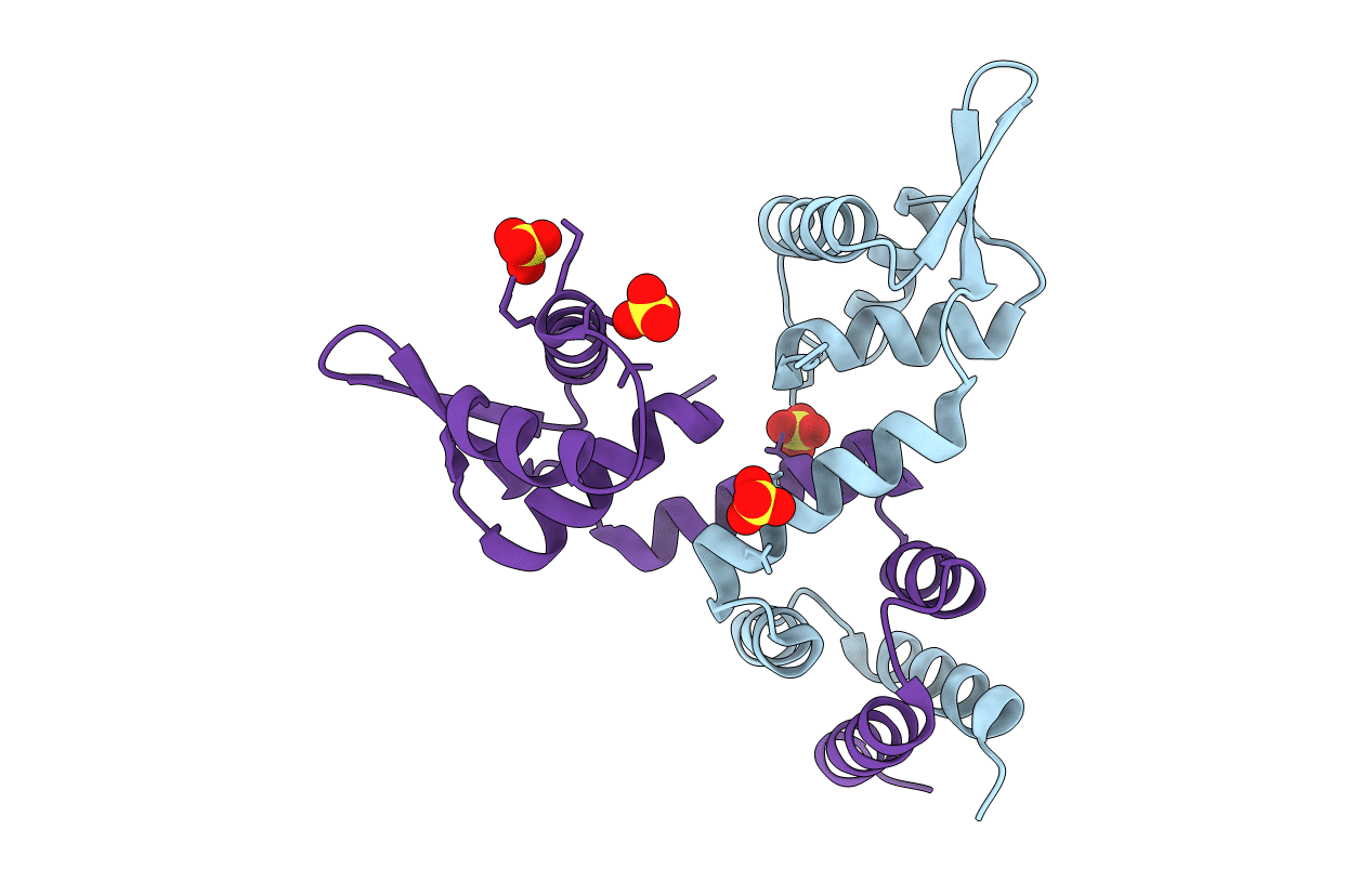 1SD4 image