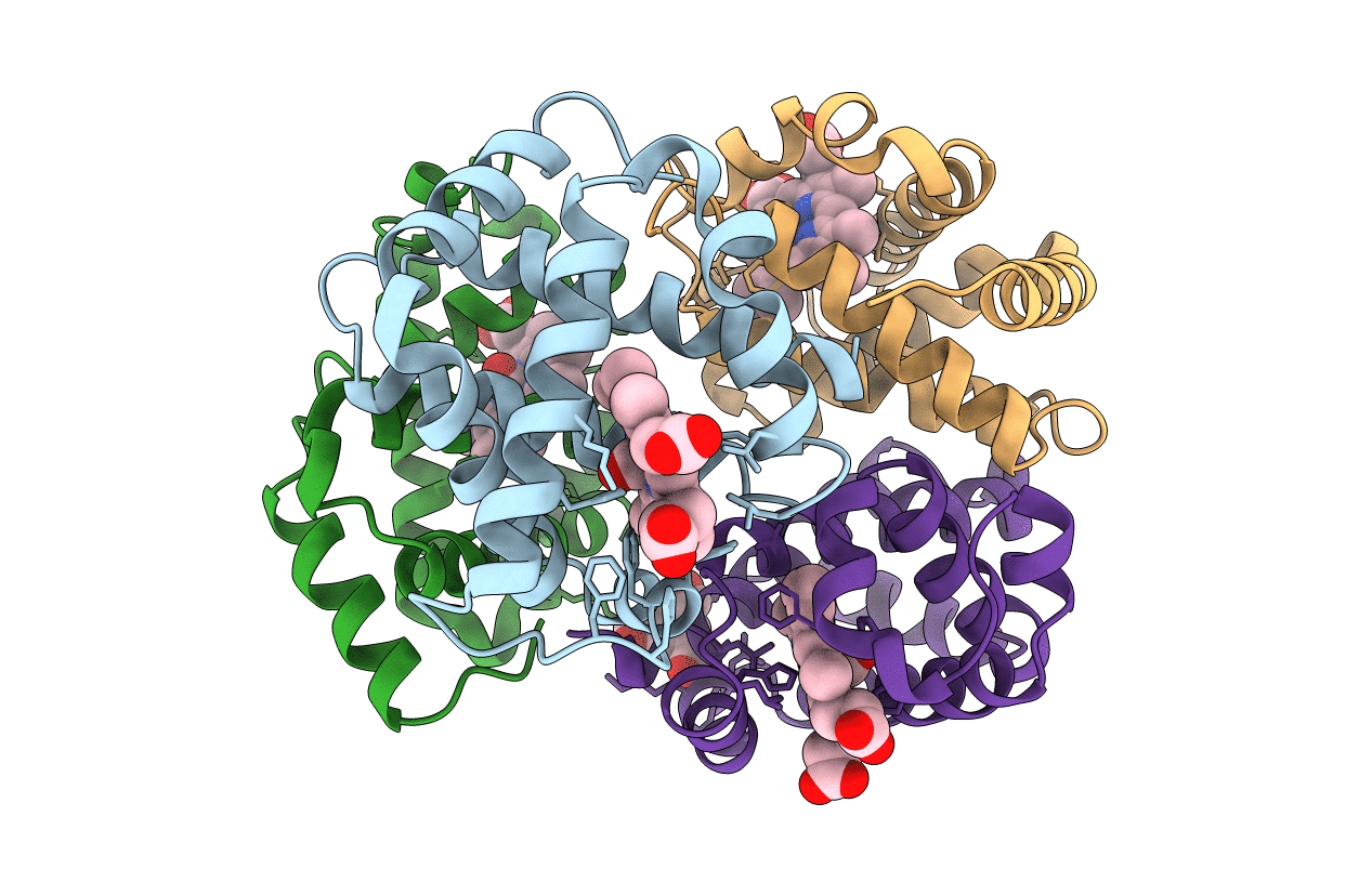 1SDL image