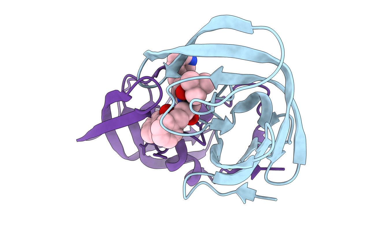 1SDT image