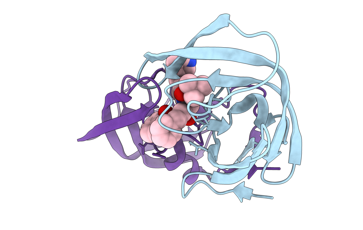 1SDV image