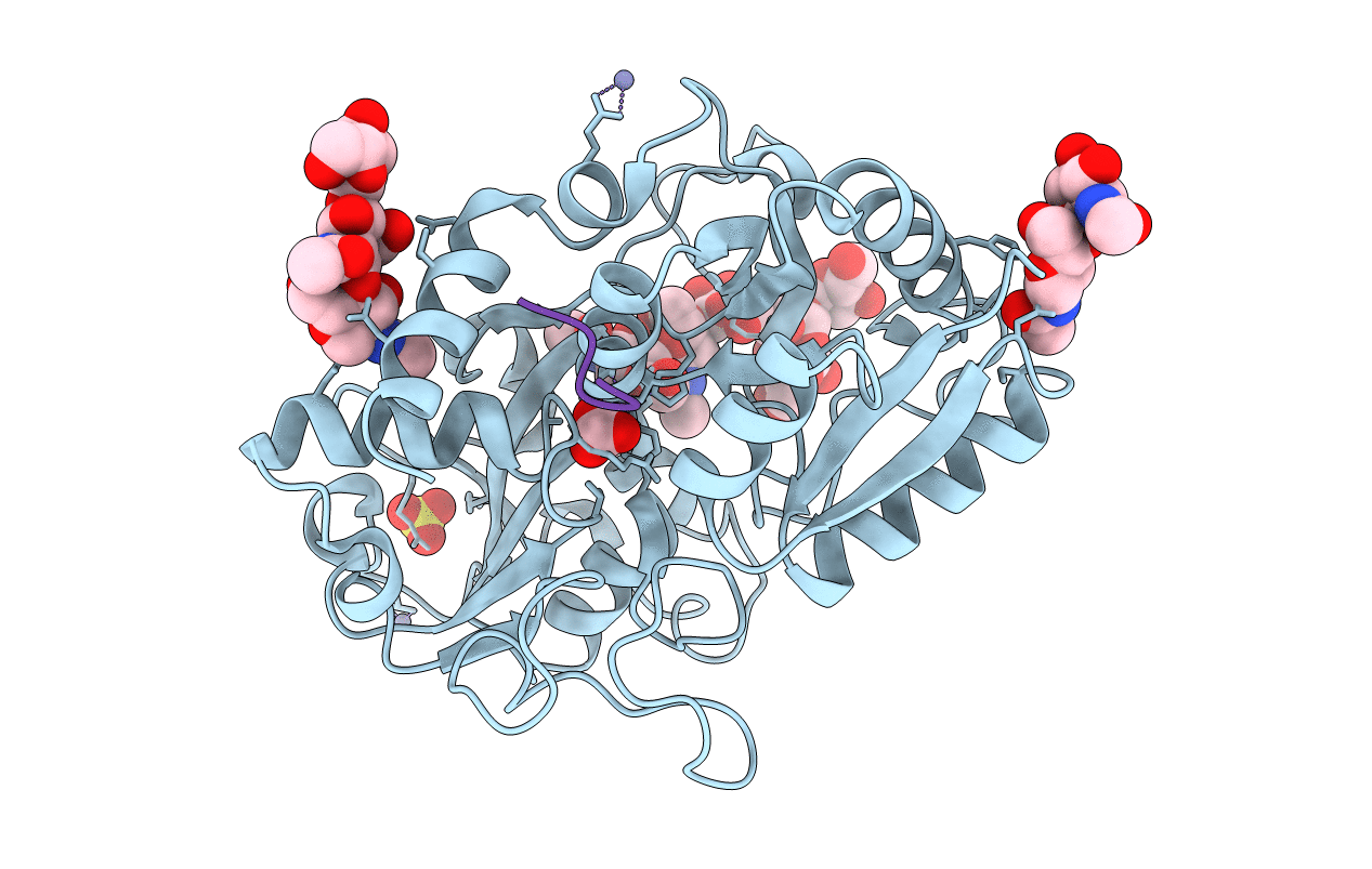 1SDX image