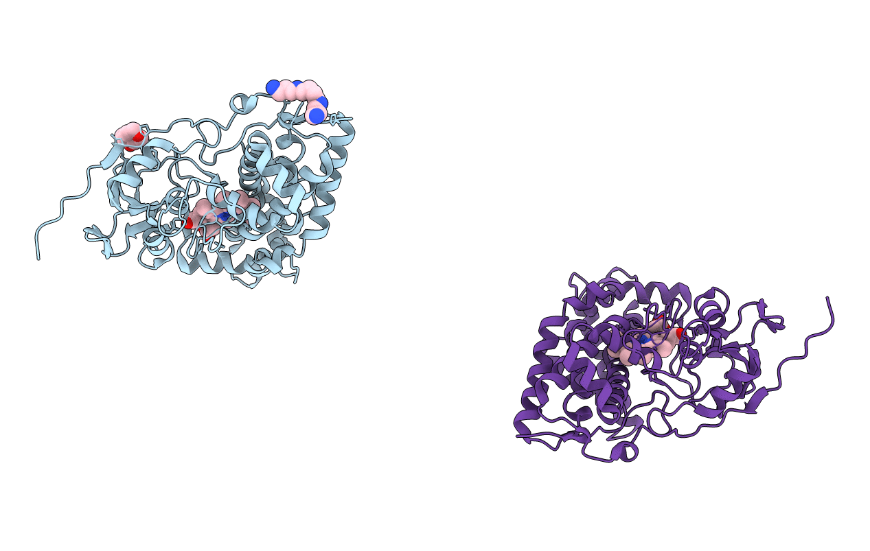 1SE6 image