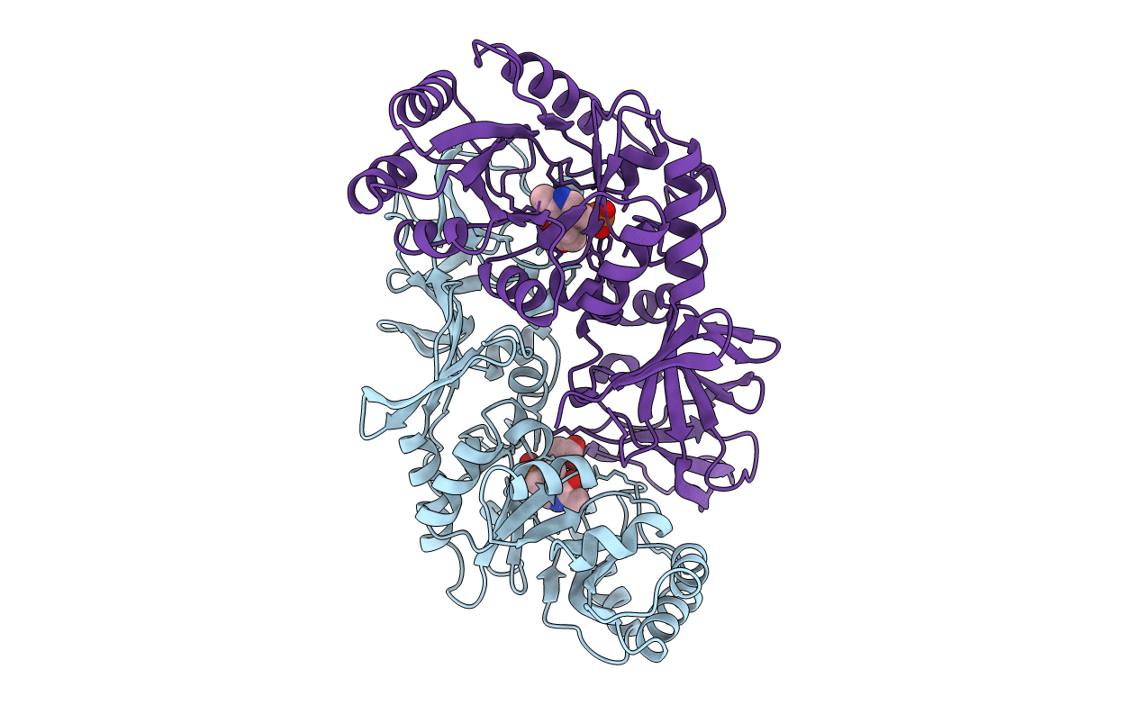1sft image