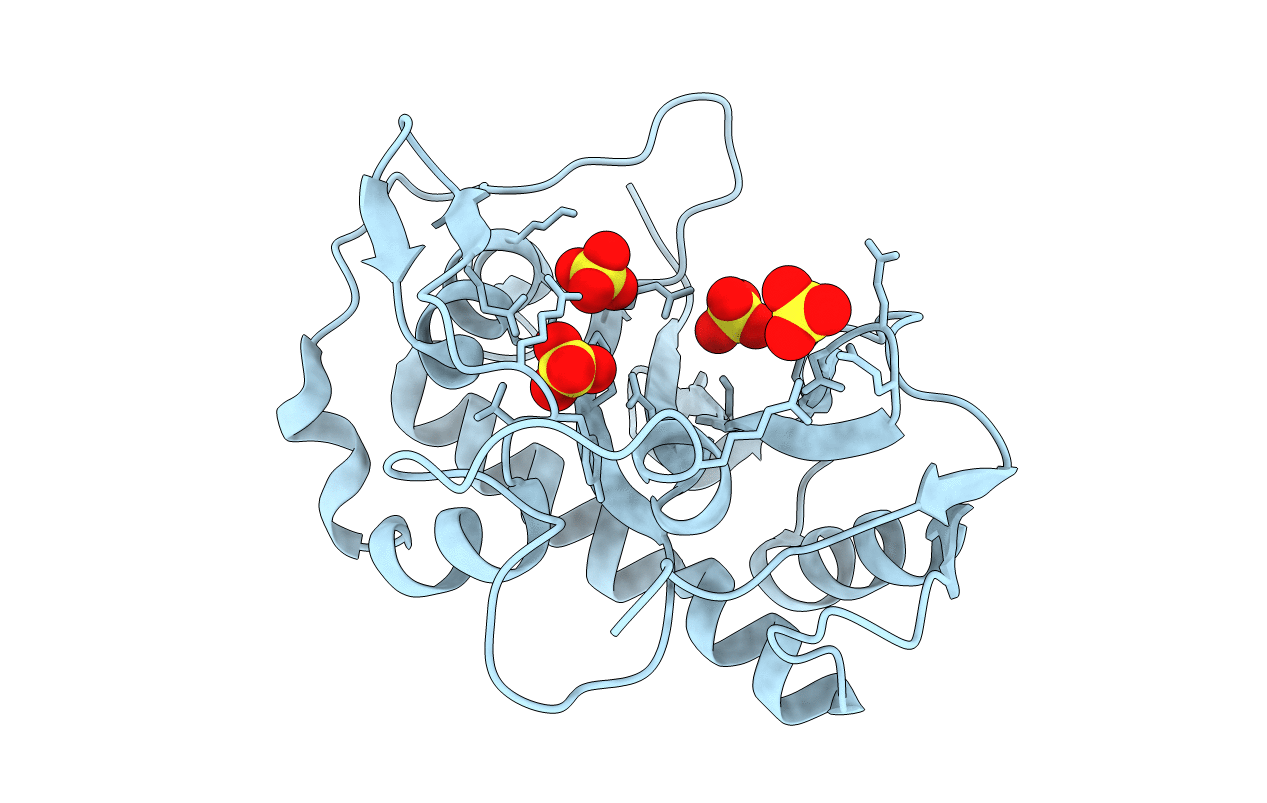 1SGL image