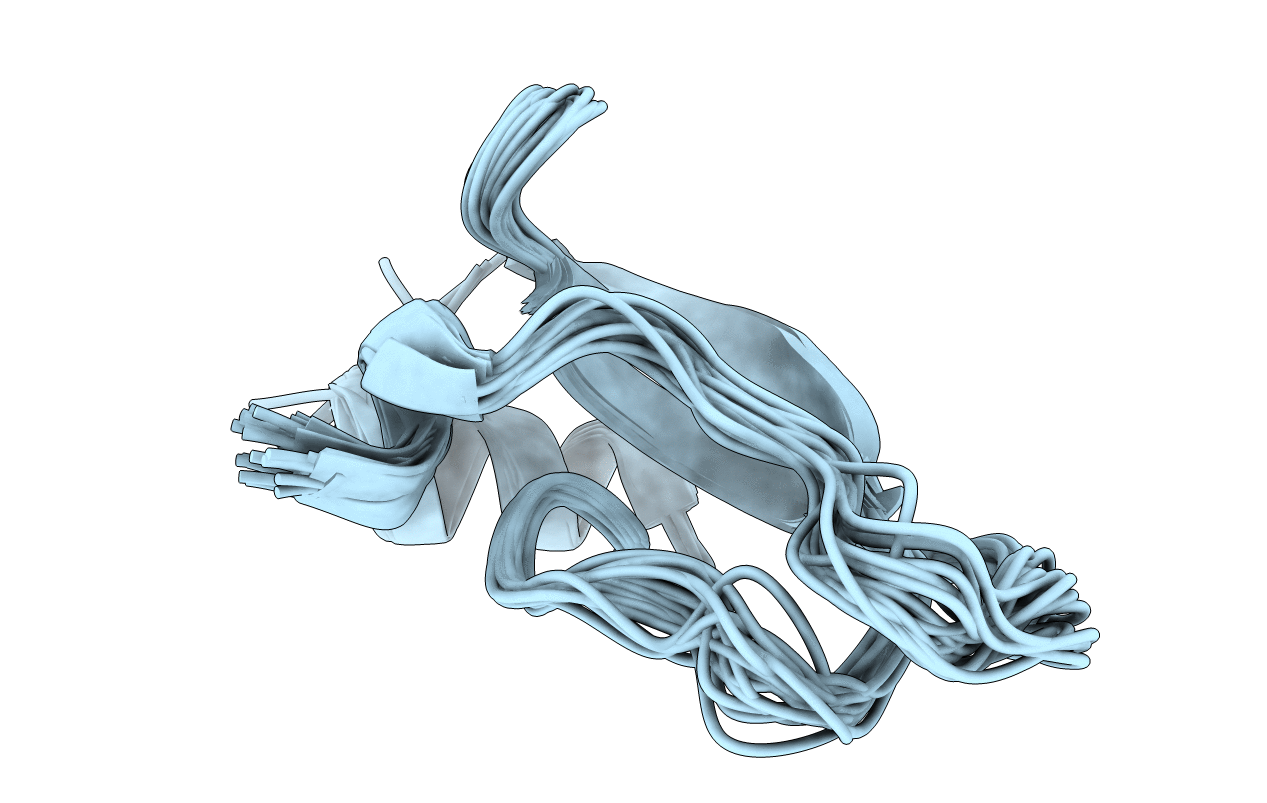 1SHP image