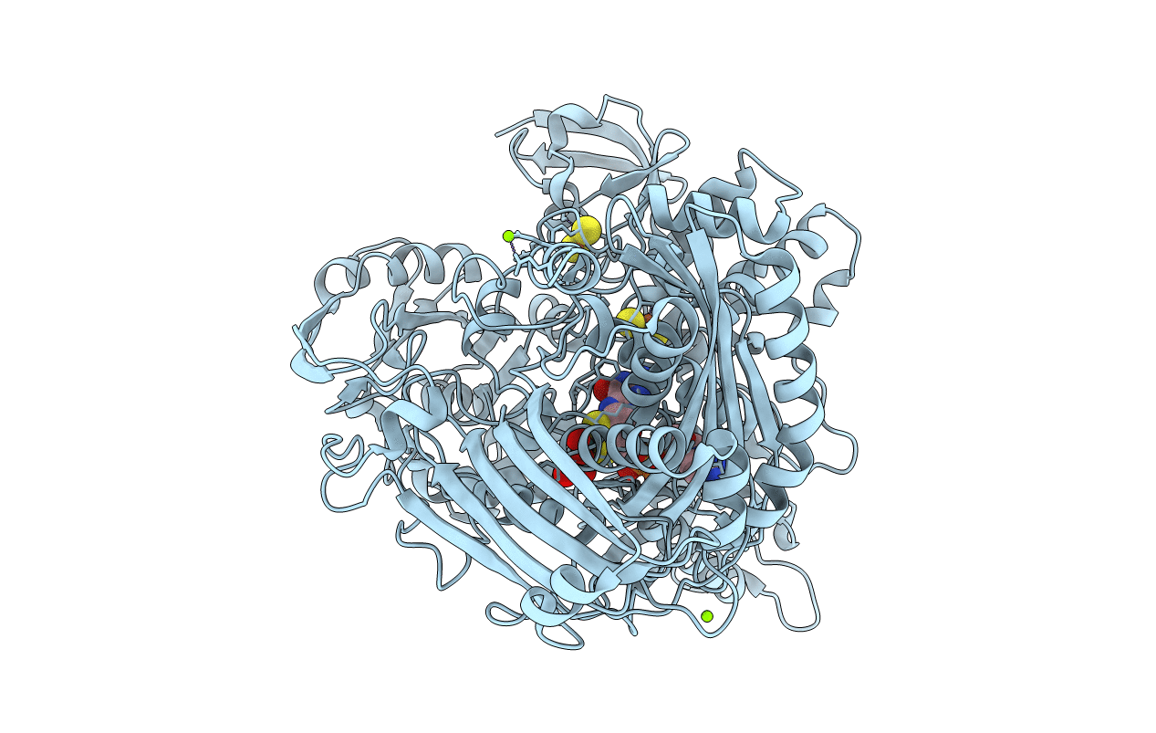 1SIJ image