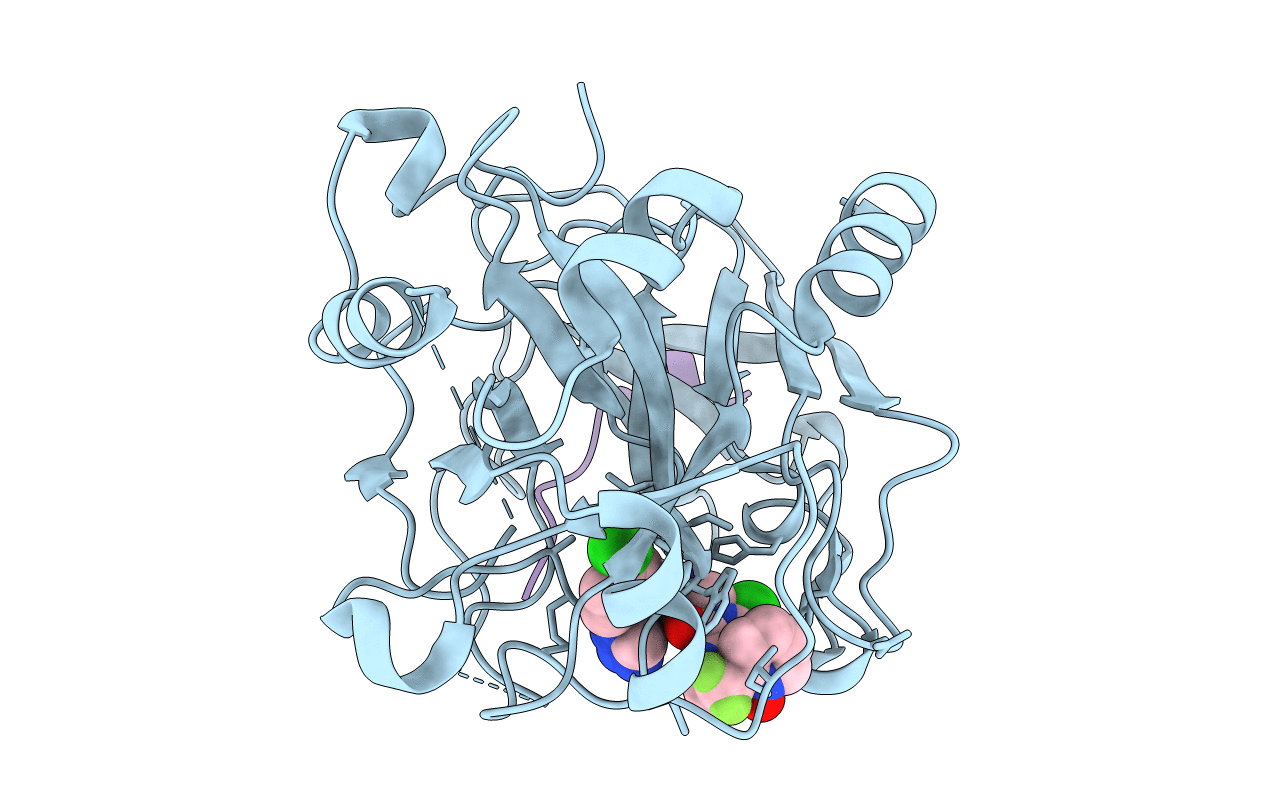 1SL3 image