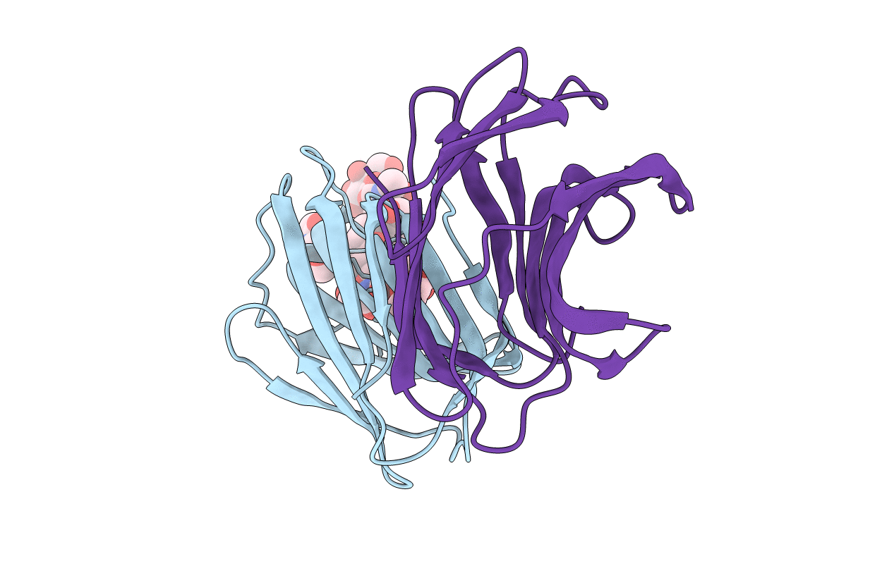 1SLA image