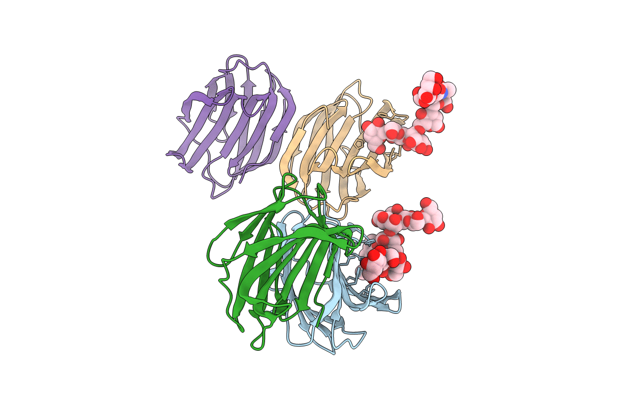 1SLB image