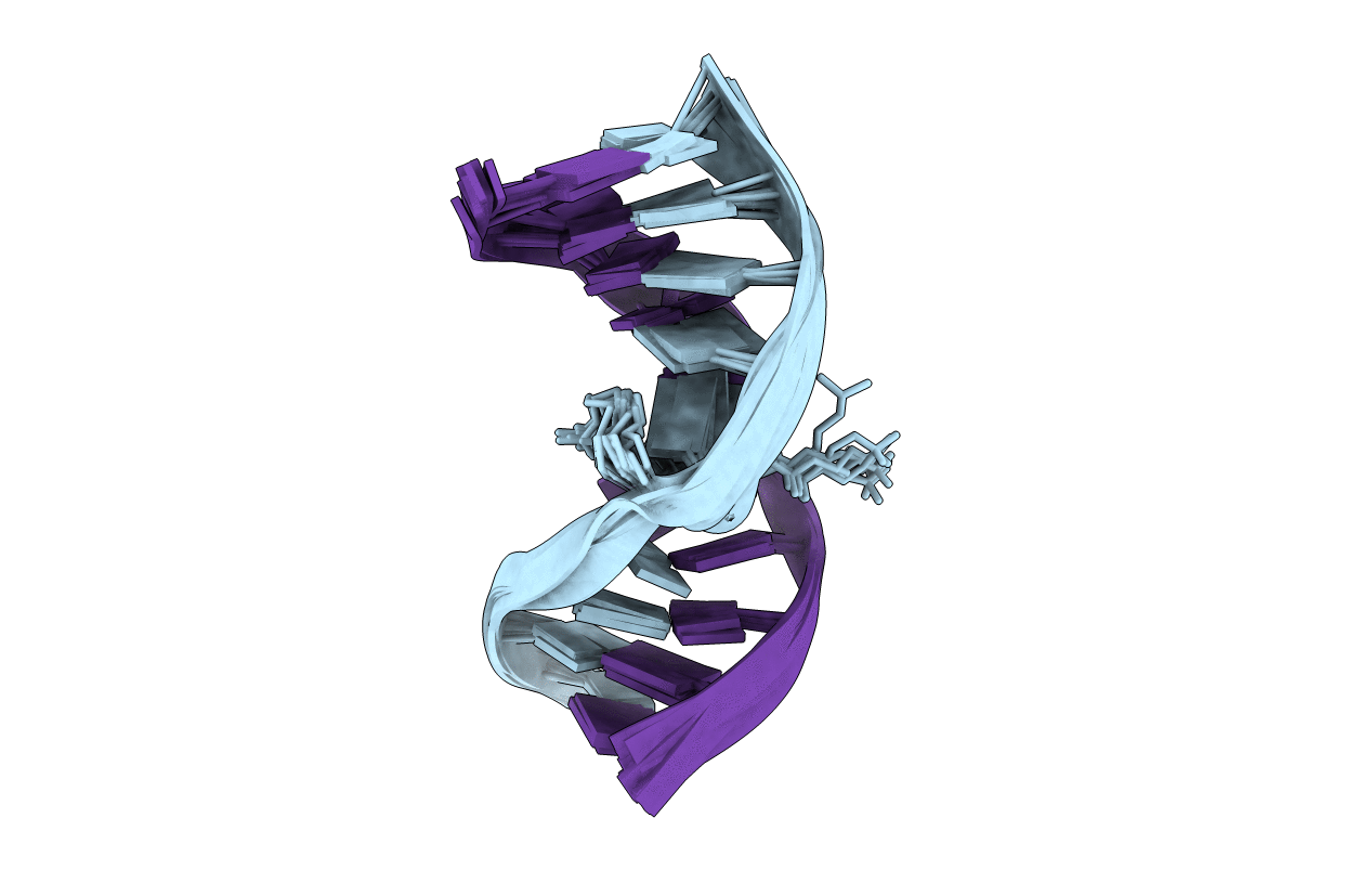 1SP6 image