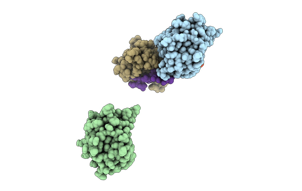 1SPS image