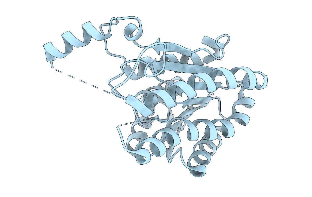 1SPX image
