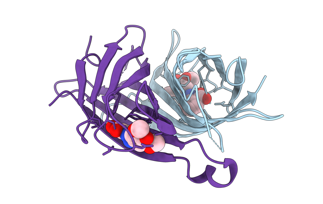 1SRH image