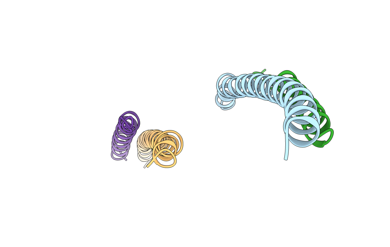1SVF image