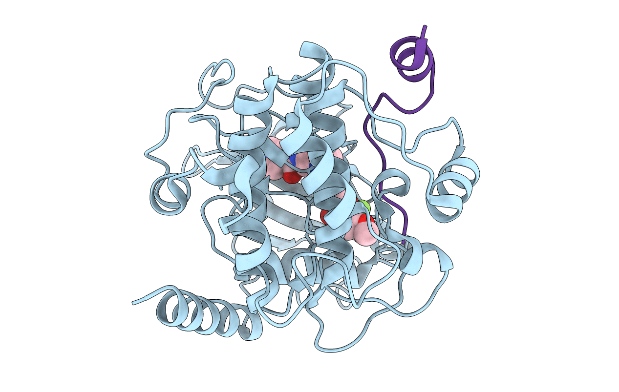 1SVH image