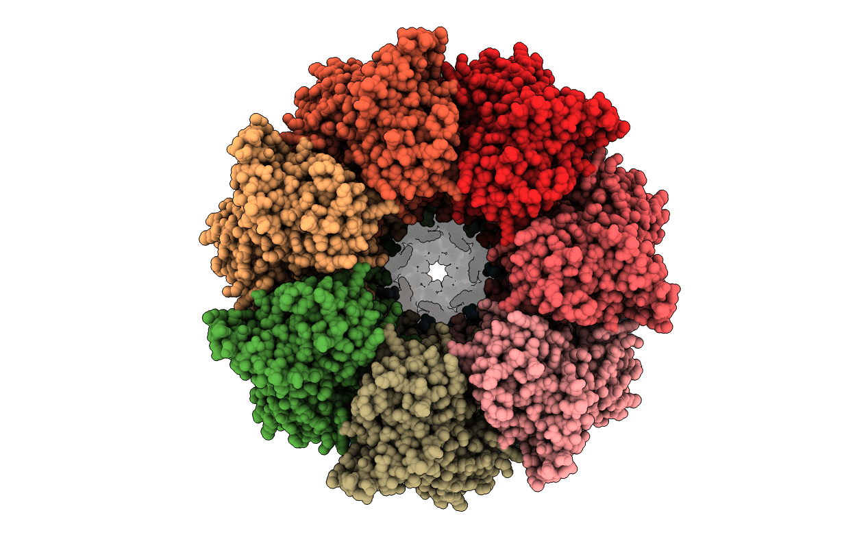 1SX4 image