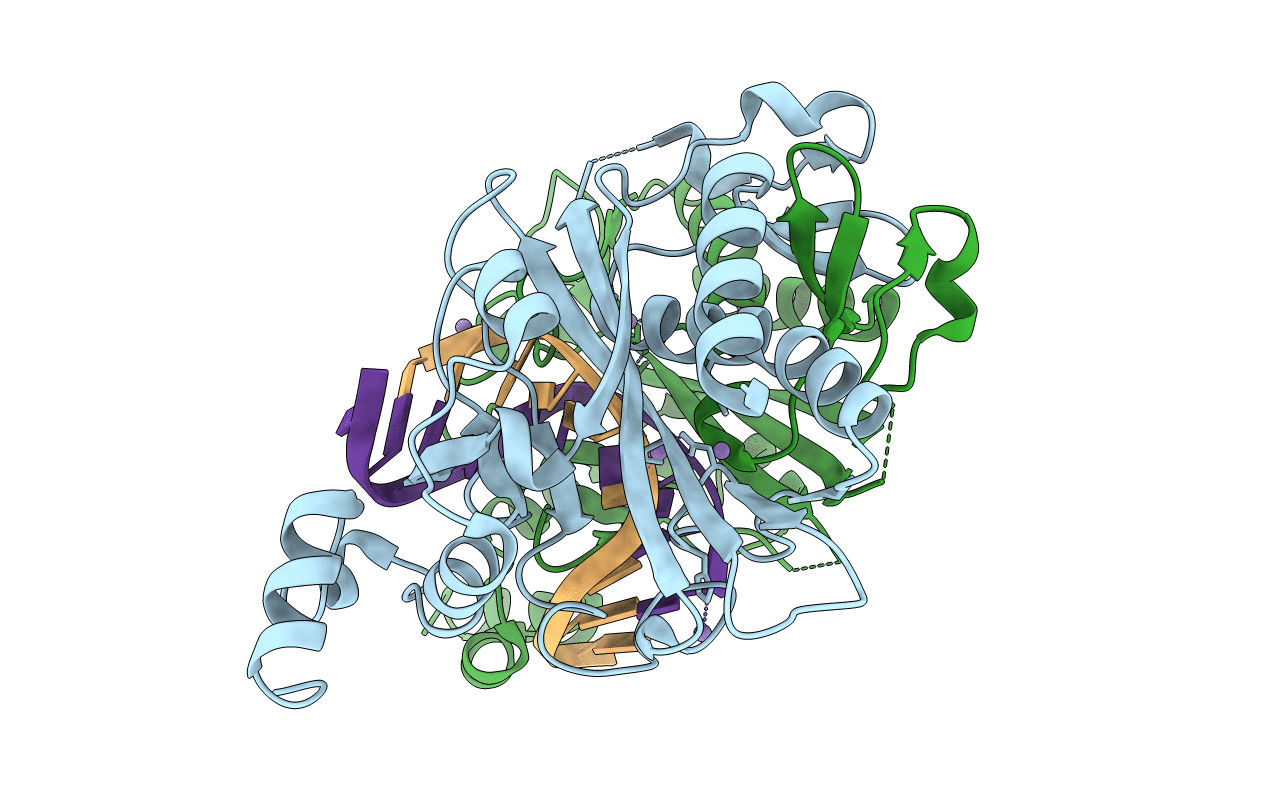 1SX8 image