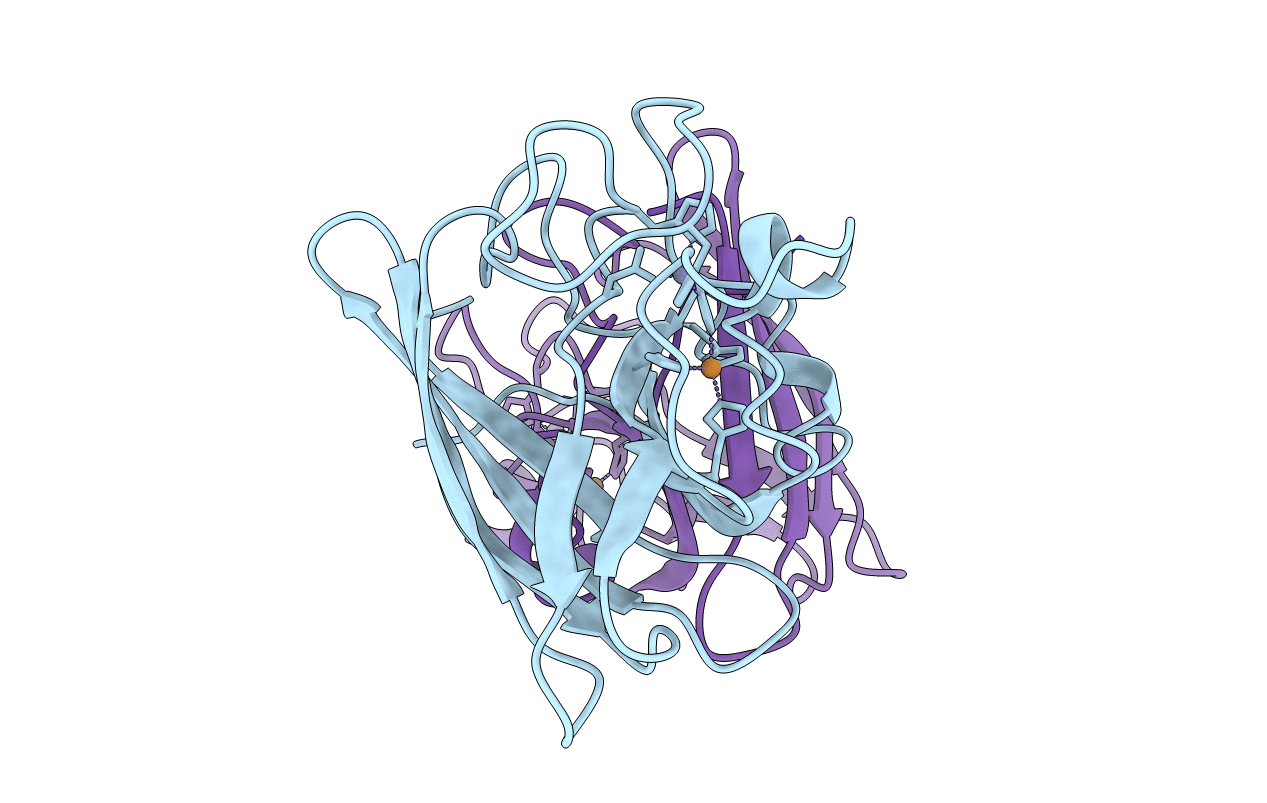 1SXA image