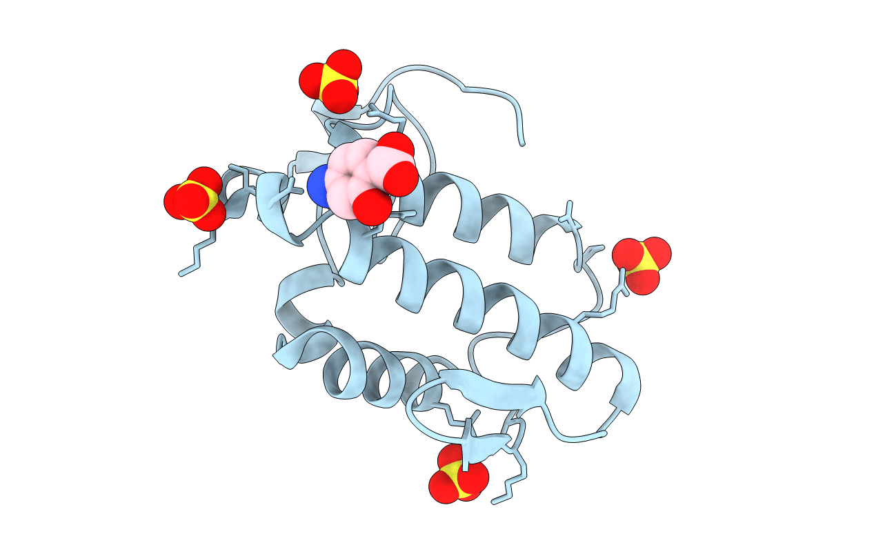 1SXK image