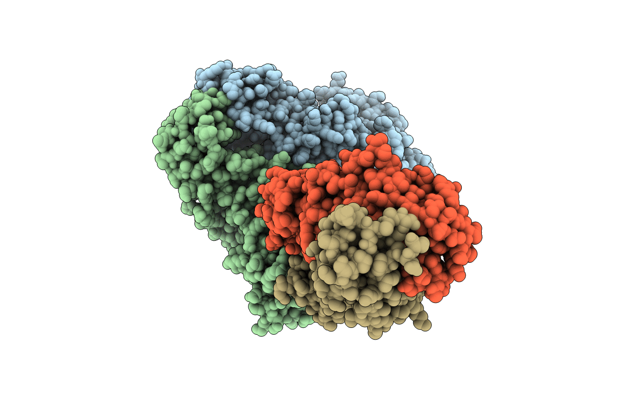 1T03 image