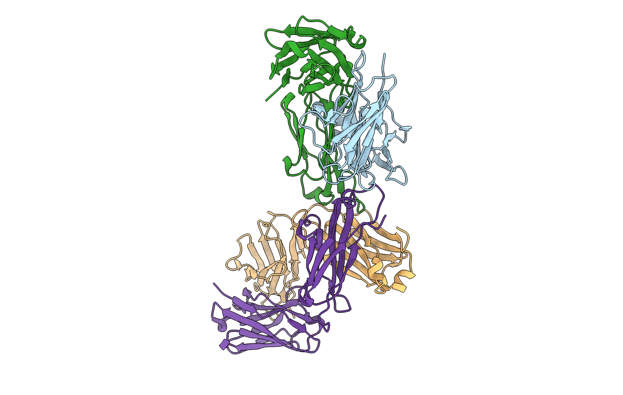 1T04 image