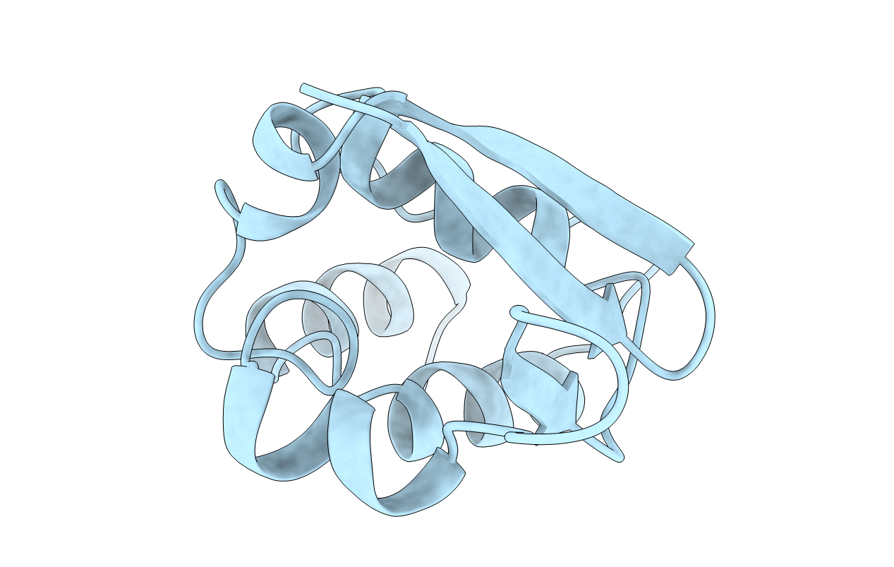 1t1d image