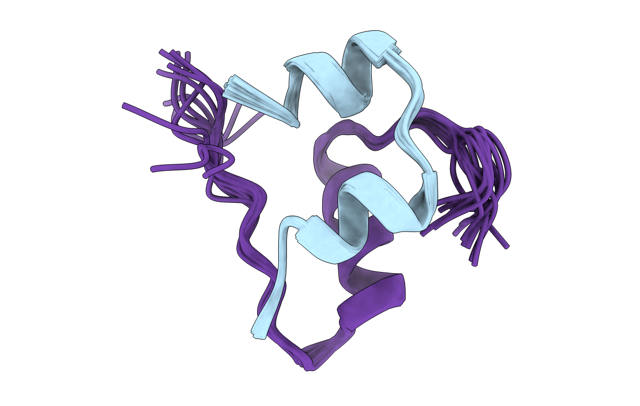 1T1K image