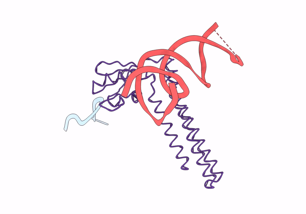 1T1M image