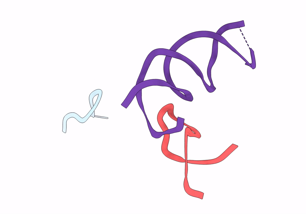 1T1O image