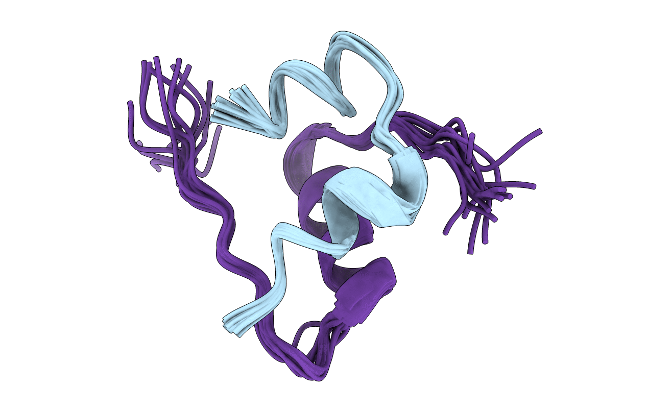 1T1Q image