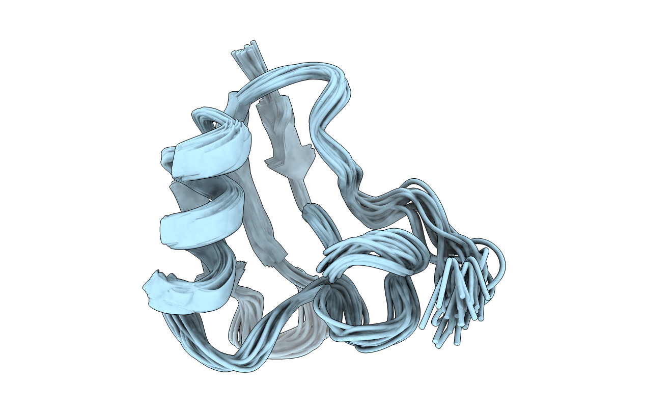1T1T image
