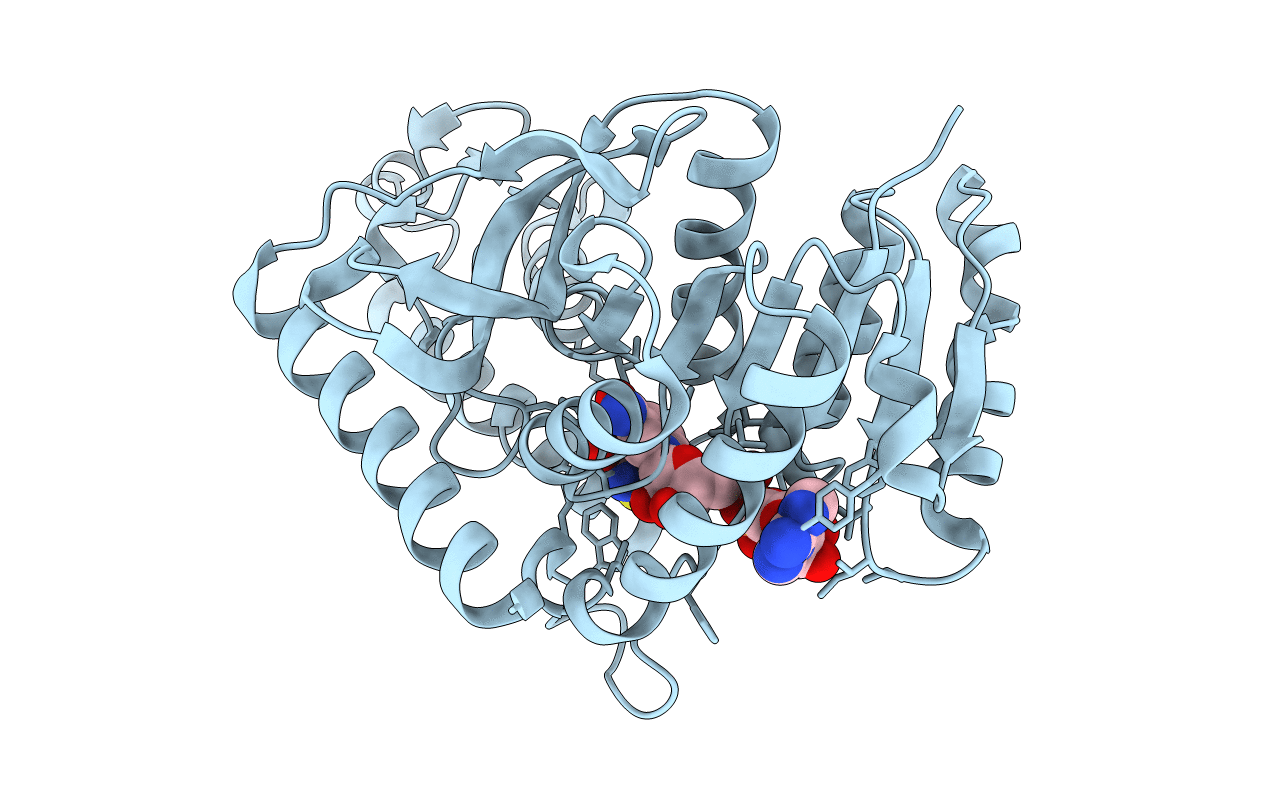 1T26 image