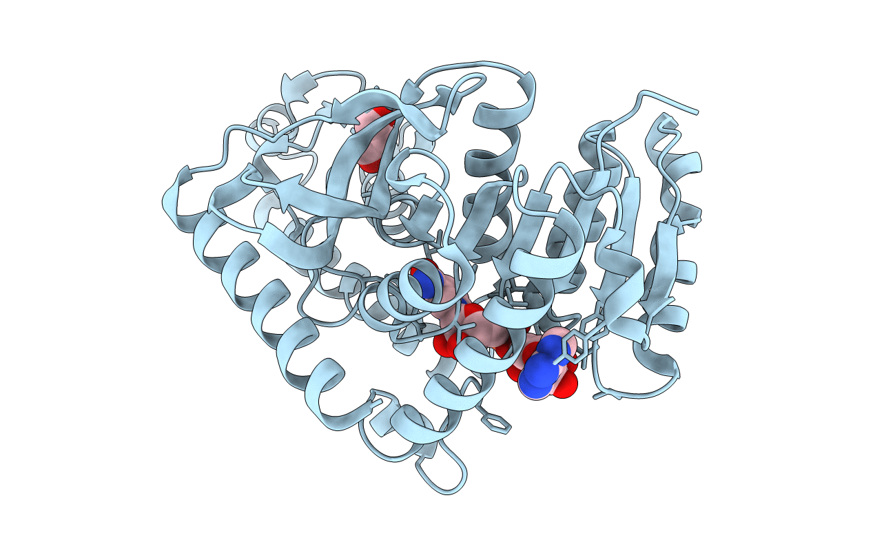 1T2C image