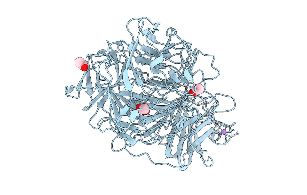 1T2X image