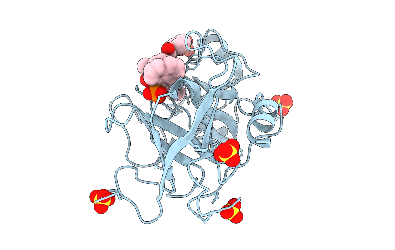 1T32 image