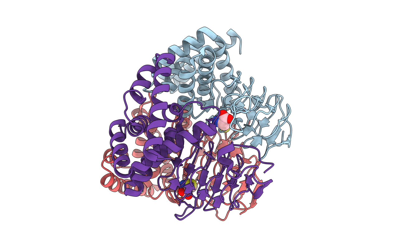 1T3D image